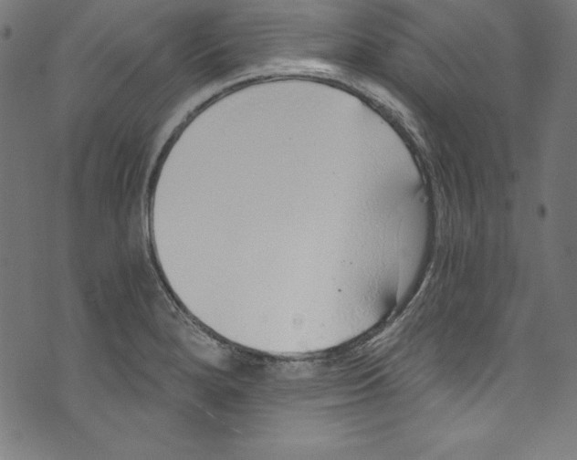 X0000072981280200608211340