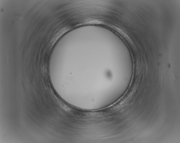 X0000072981281200608211340