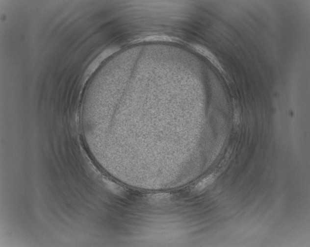 X0000072981282200608211340