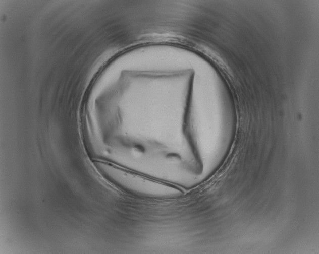 X0000072981283200608211340