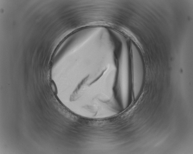 X0000072981284200608211340