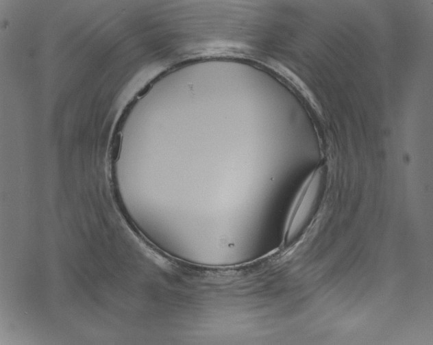 X0000072981285200608211340