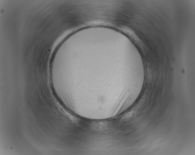 X0000072981286200608211340