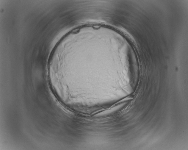 X0000072981287200608211340