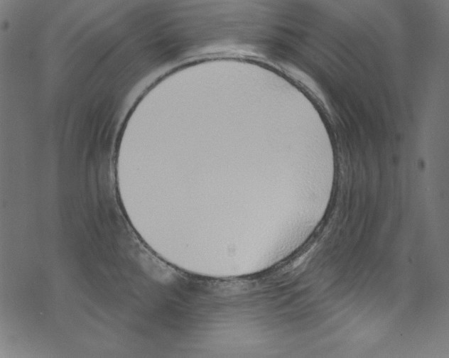 X0000072981288200608211340