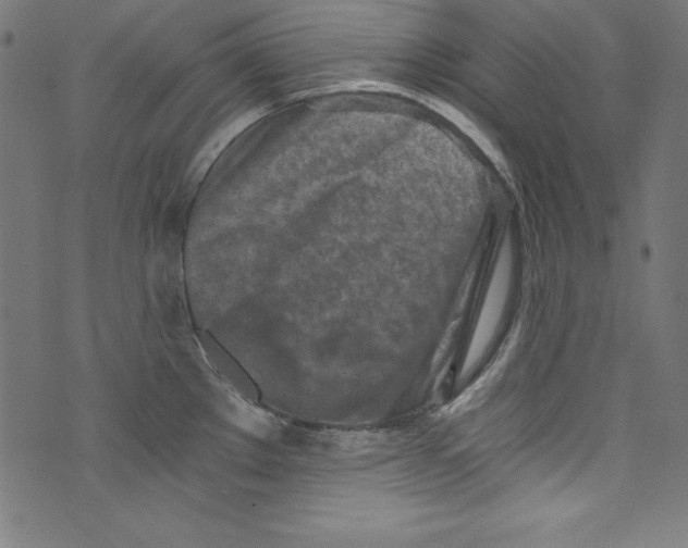 X0000072981289200608211340