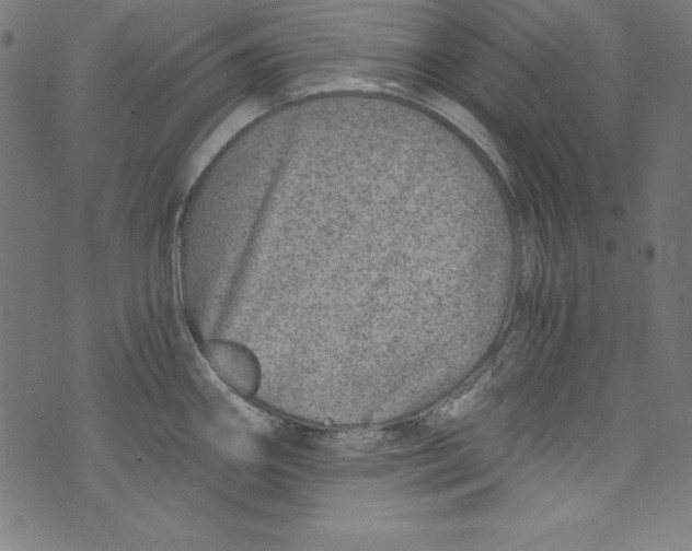 X0000072981290200608211340