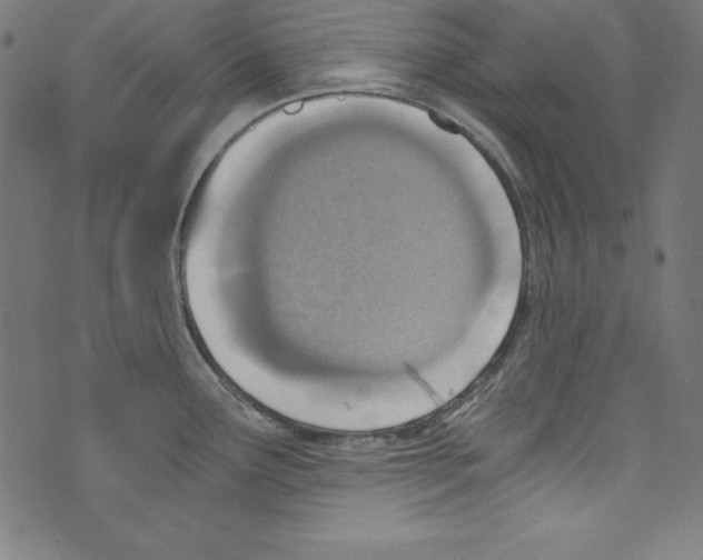 X0000072981291200608211340