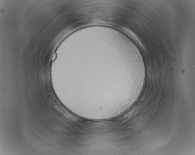 X0000072981292200608211340