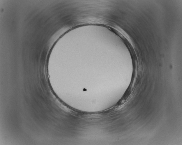 X0000072981293200608211340