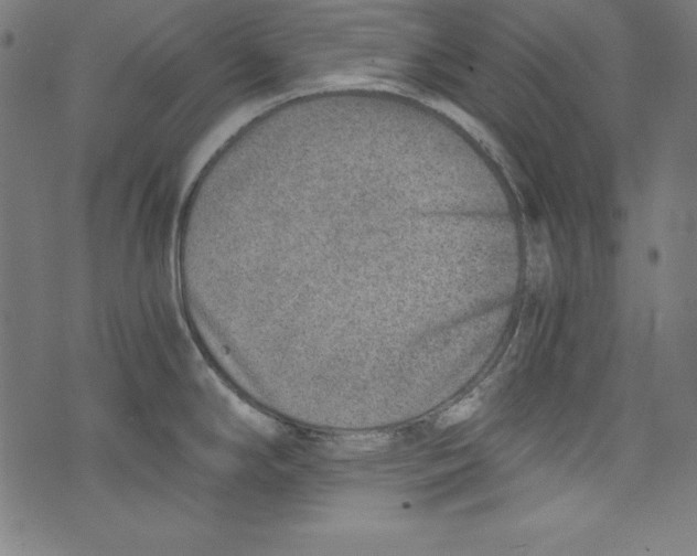 X0000072981294200608211340