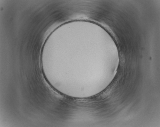 X0000072981295200608211340