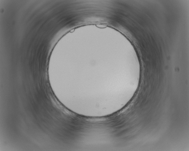 X0000072981296200608211340