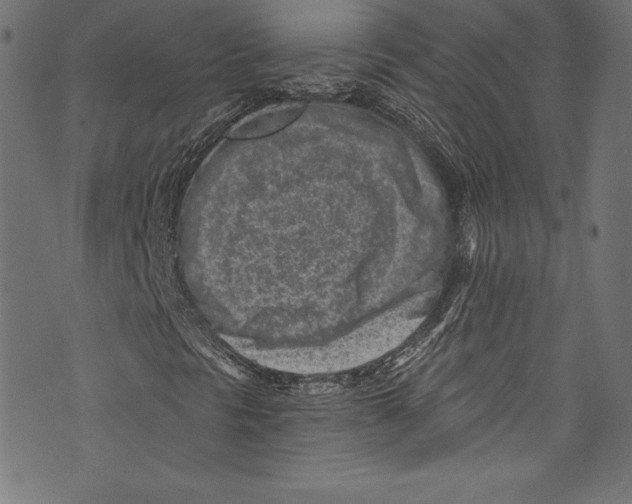 X0000072981297200608211339