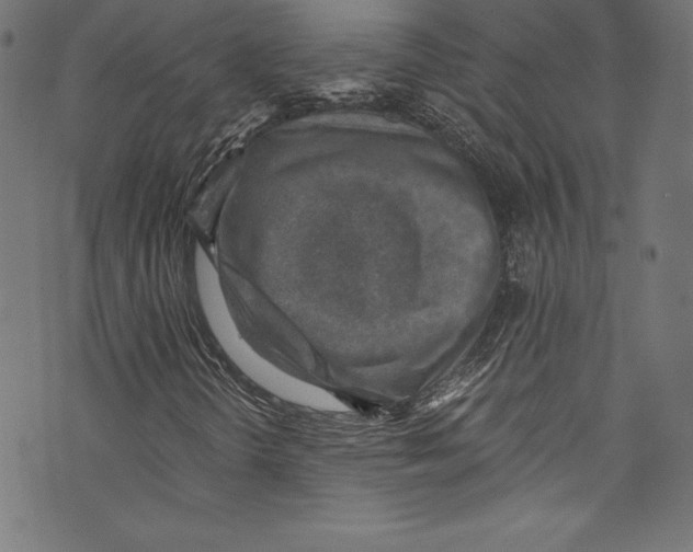 X0000072981298200608211339