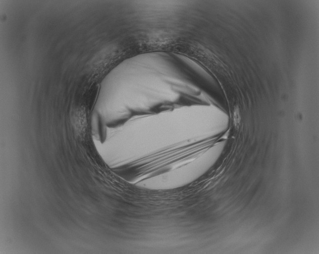 X0000072981299200608211339