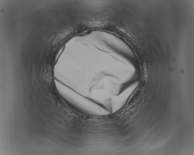 X0000072981301200608211339