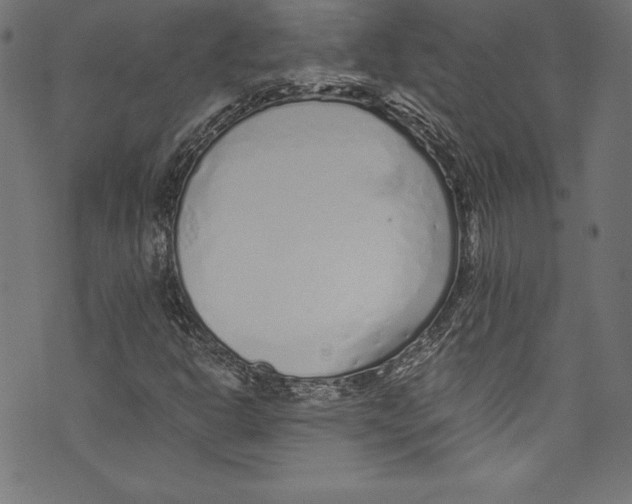 X0000072981302200608211339