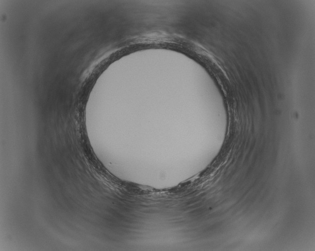 X0000072981304200608211339