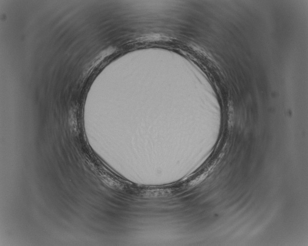 X0000072981305200608211339