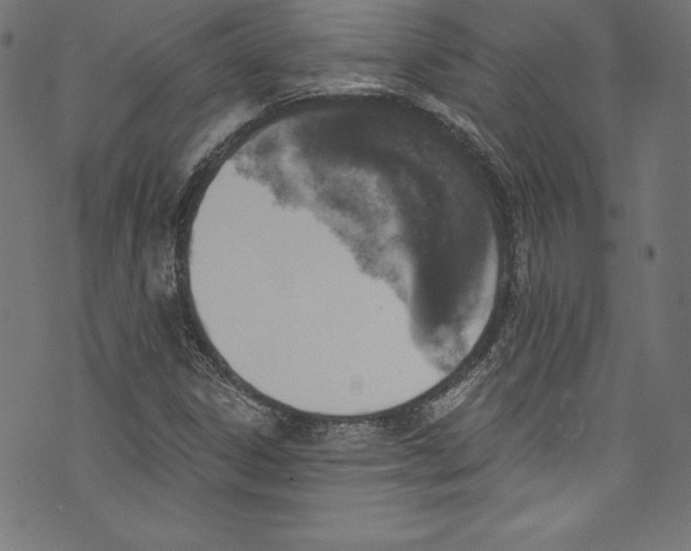 X0000072981306200608211339