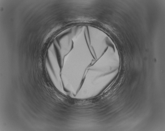 X0000072981307200608211339