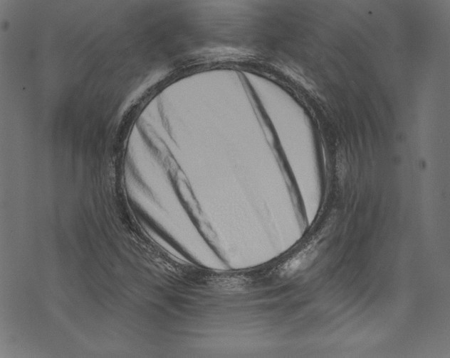 X0000072981309200608211339