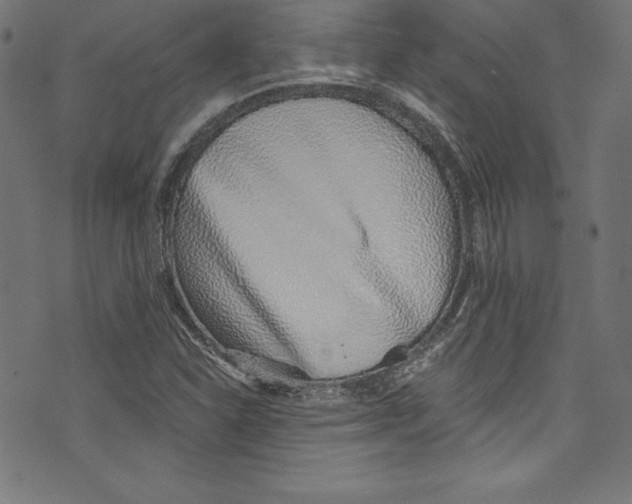 X0000072981310200608211340