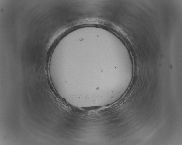 X0000072981312200608211340