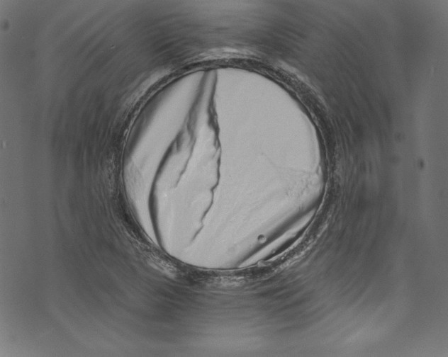 X0000072981313200608211340