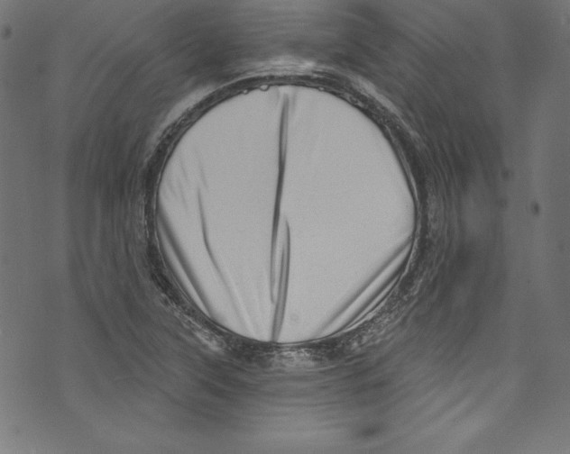 X0000072981315200608211340