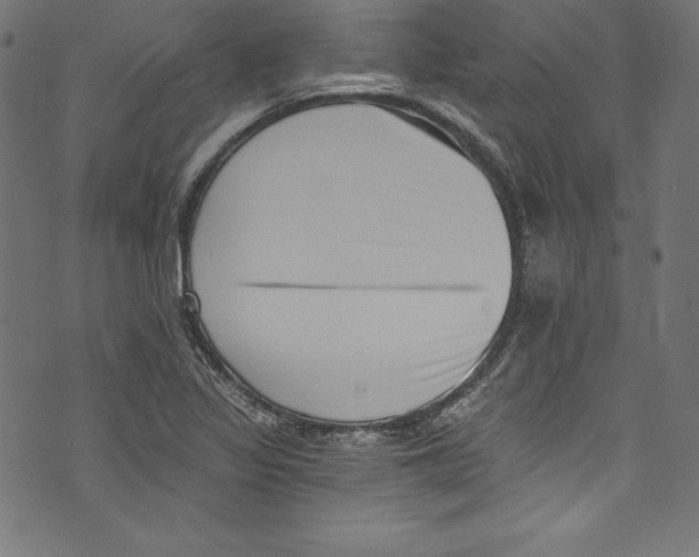 X0000072981317200608211340