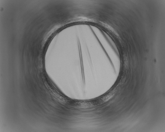 X0000072981318200608211340