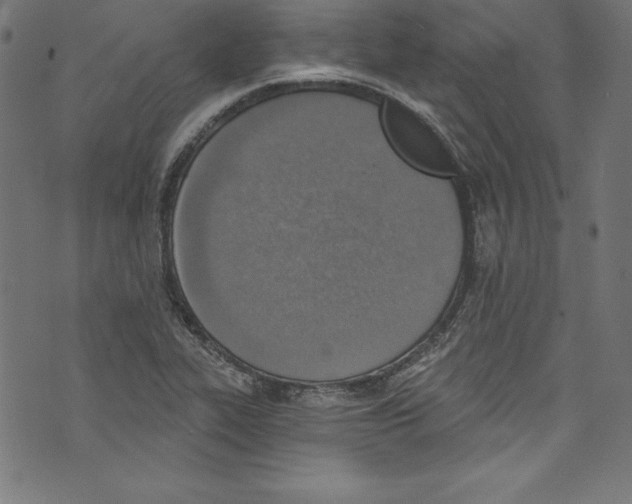 X0000072981319200608211340