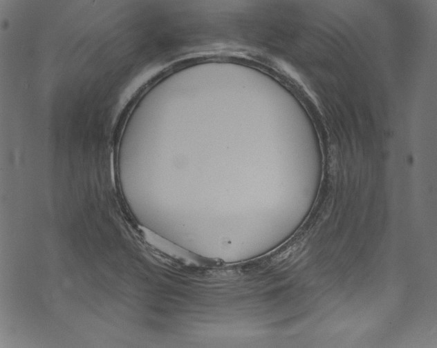 X0000072981320200608211340