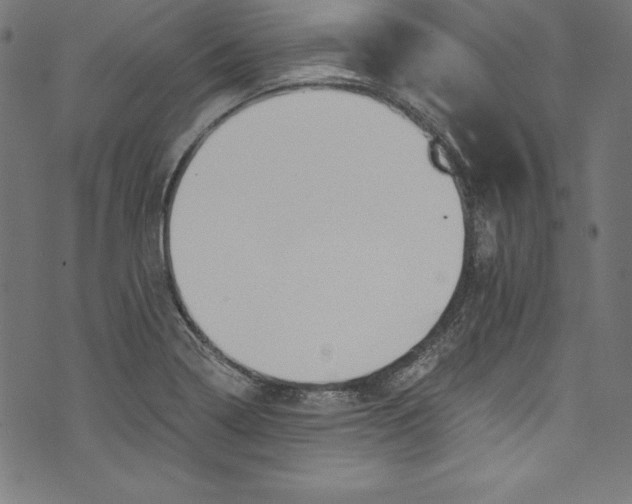 X0000072981322200608211340