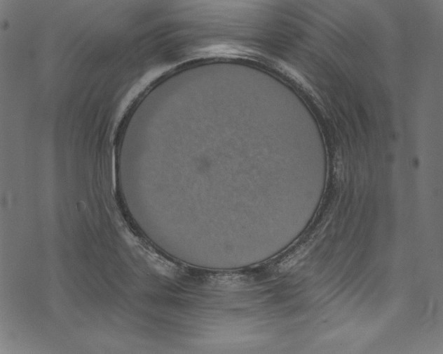 X0000072981323200608211340