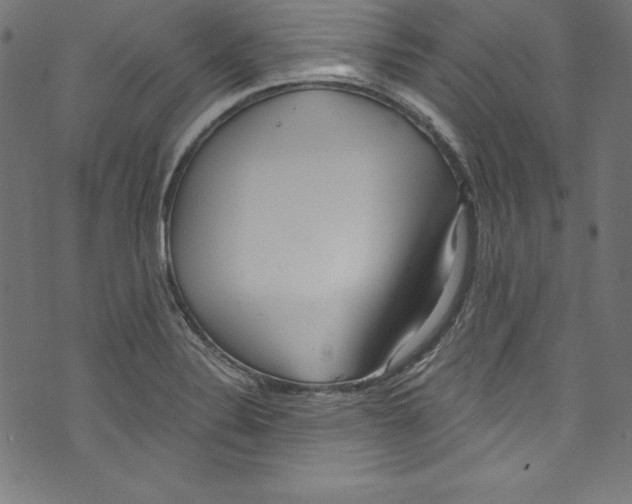 X0000072981324200608211340