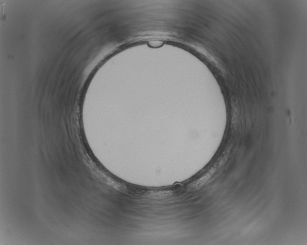 X0000072981325200608211340