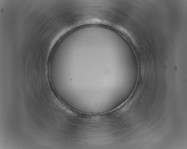 X0000072981326200608211340