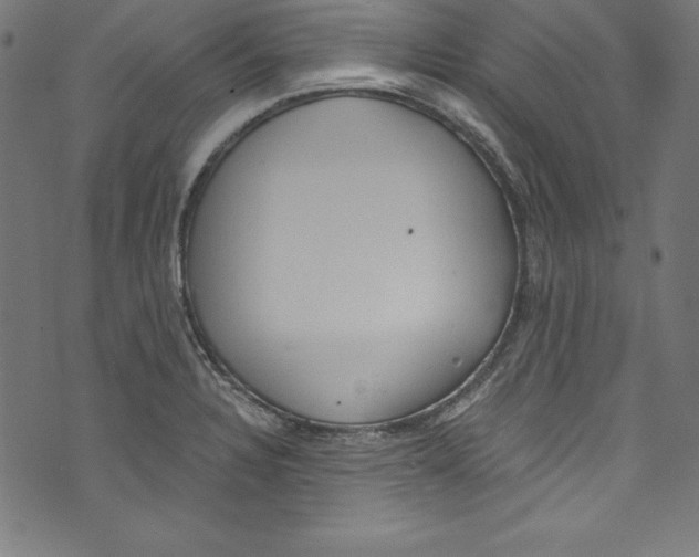 X0000072981328200608211340