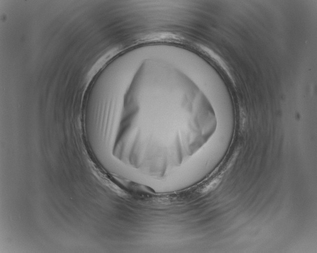 X0000072981330200608211340