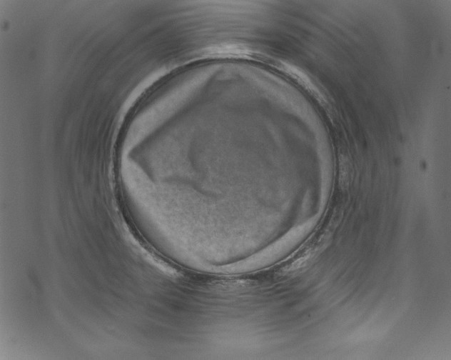 X0000072981331200608211340