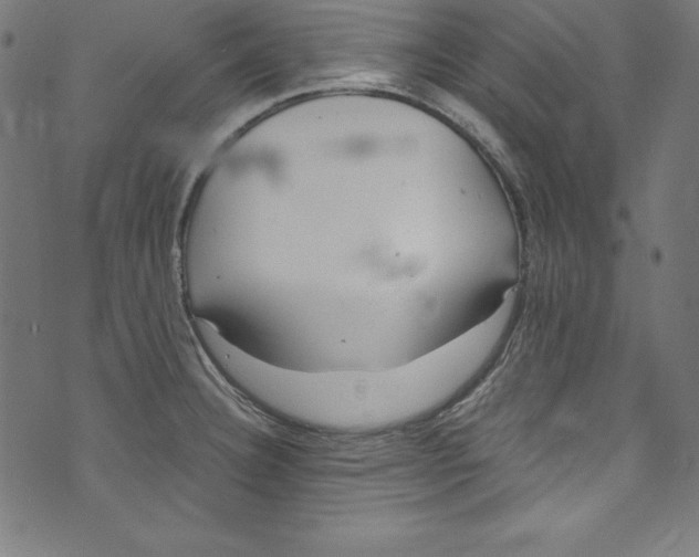 X0000072981332200608211340