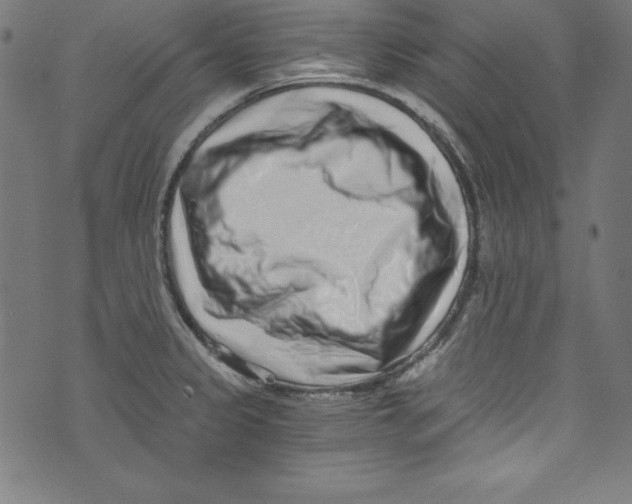 X0000072981333200608211340