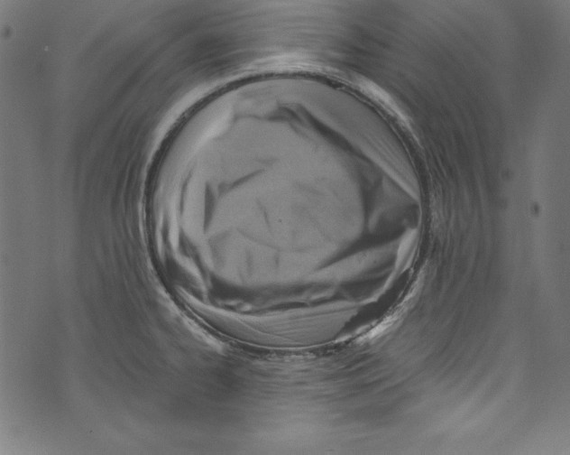 X0000072981334200608211340