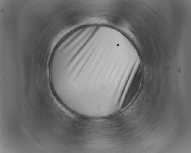 X0000072981335200608211340