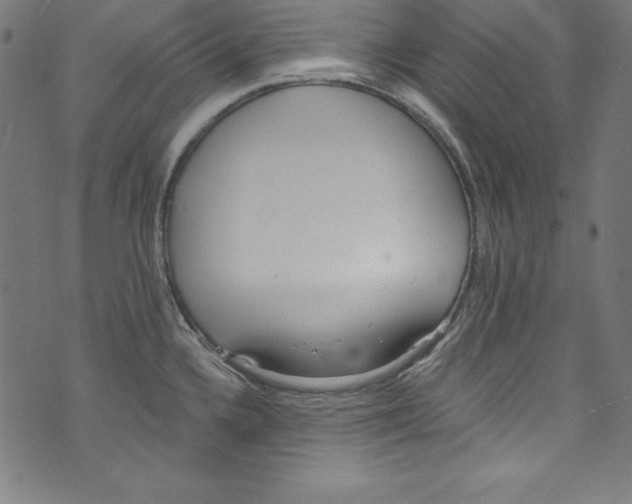 X0000072981336200608211340