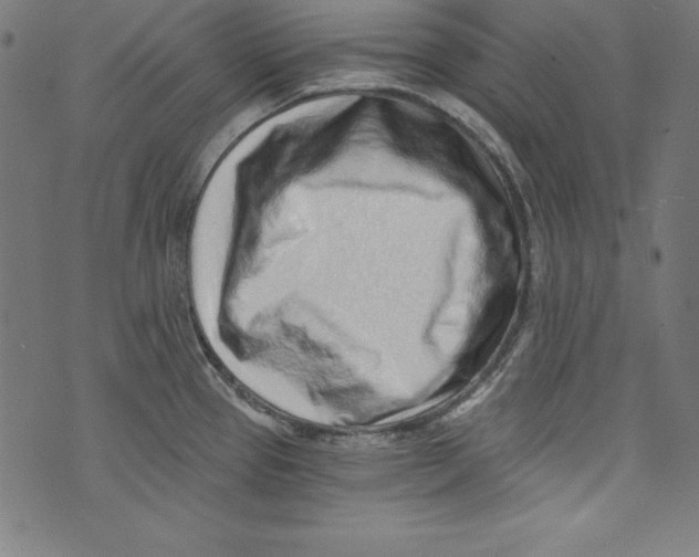 X0000072981337200608211340