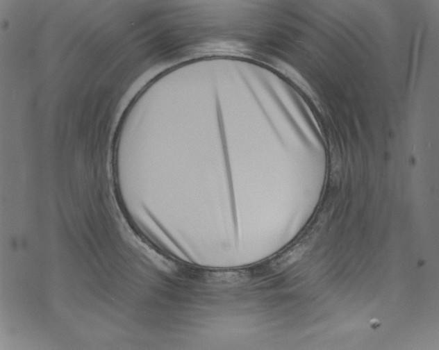 X0000072981339200608211340